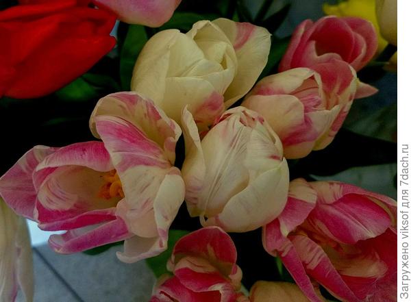 Всем здоровья и мирного неба!