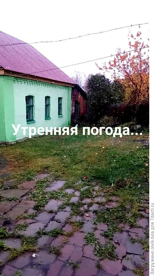 утром ничего не предвещало зимы...
