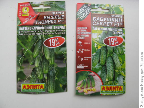 Огурцы для "эксперимента"