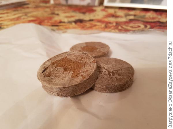 Таблеточки, все ровненькие, как по шаблону
