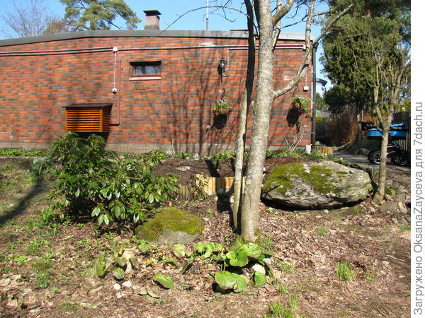 Цвет стен у нас такой