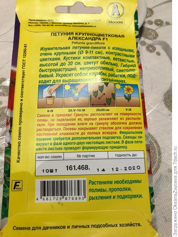 Семена петунии Александра обратная сторона