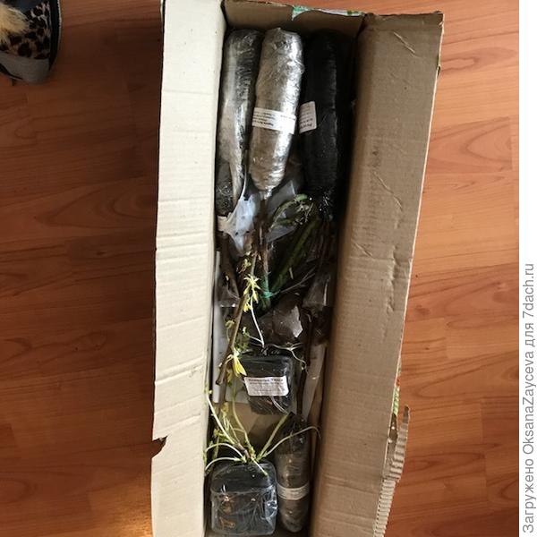 Аккуратно упаковано