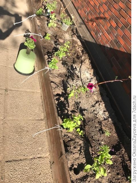 Расстановка с другой стороны