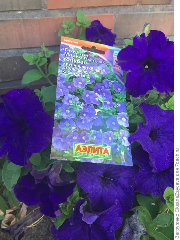 На лицо явные различия - тон и серединка