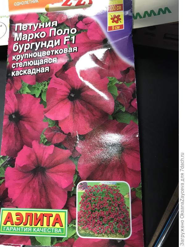 юдолр