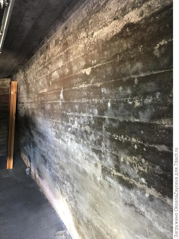 Стена изнутри. Черная, как я понимаю, плесень. А белые пятна - соль. Есть еще розовые кристаллы, в основном в нижней части стены