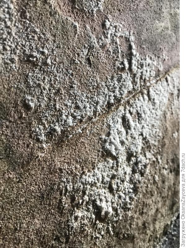 Высол крупным планом. Он опадает кристалликами на пол, если пальцем провести