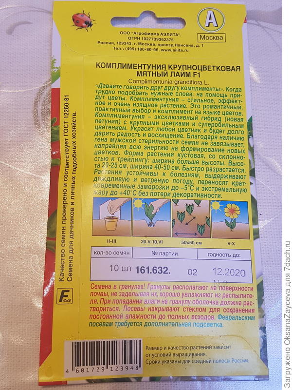 Обратная сторона