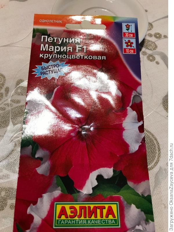 мария
