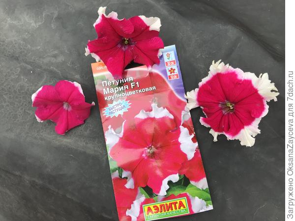 Цвет и форма совпадают с заявленными