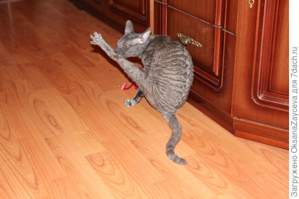 В круть попасть престижно, но тяжело. В муть - легко, но не престижно. Попробуем в жуть!