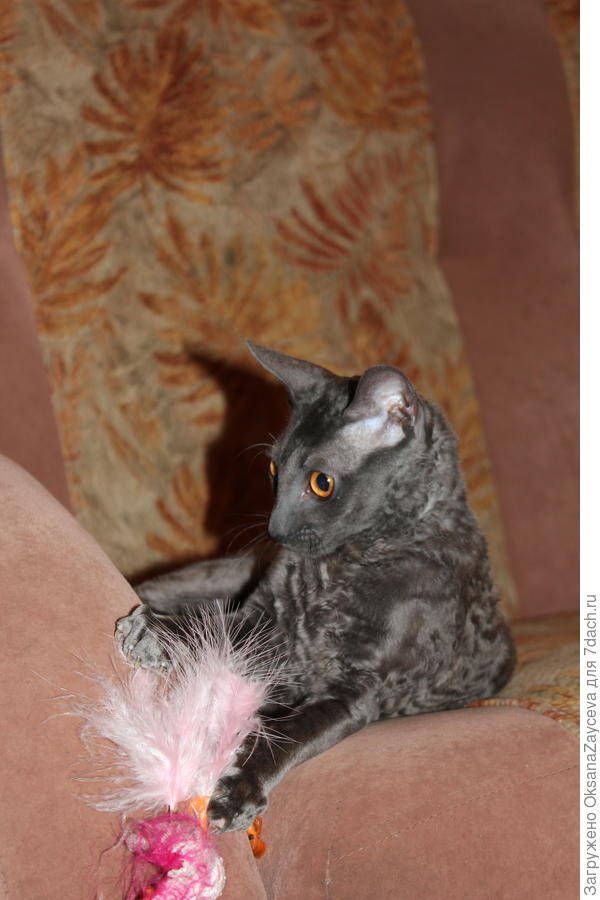 Либо выковырять невыкавириваемое, либо напасть из-за угла!