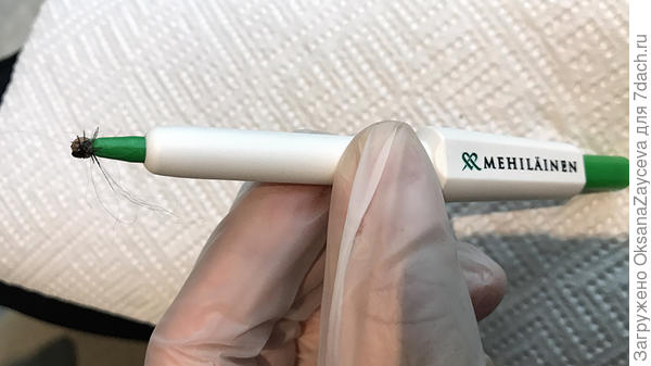 Вот такая ручечка