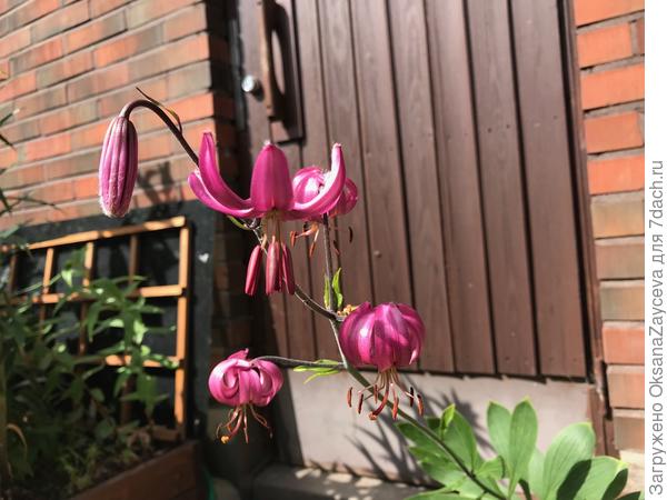 На солнышке поярче. В прорчем со временем выгорает