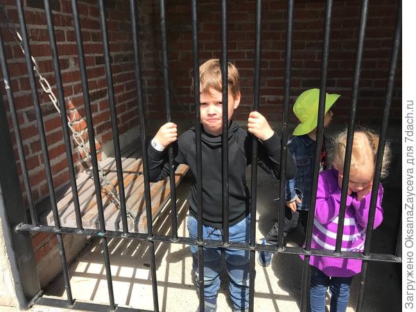 В полицейском участке Муммидола