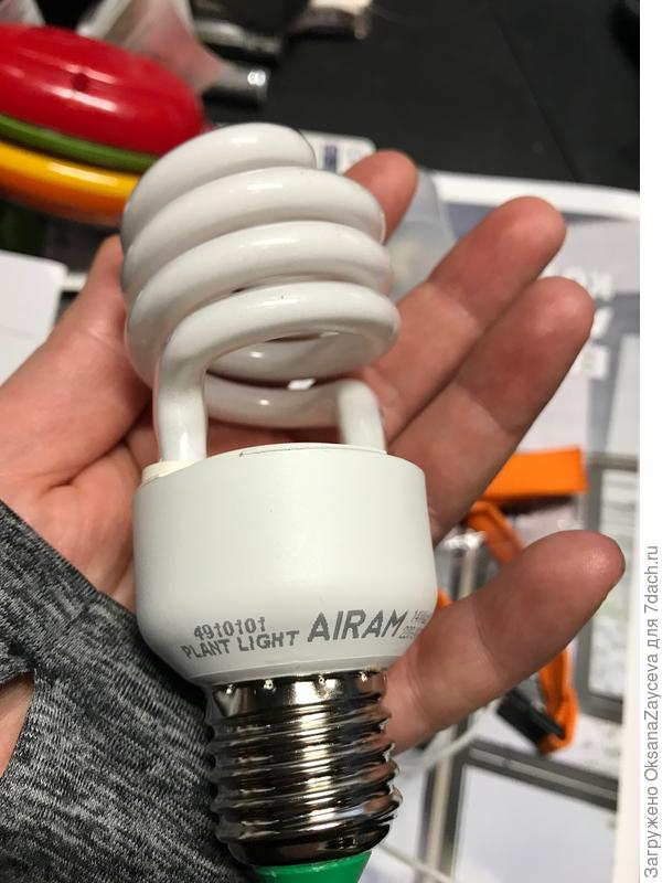 Лампочка - освещение для растений. Как раз она и светит ярким красивым розовым светом