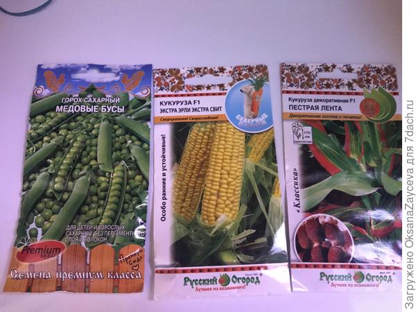 Это не весь горох! Еще 3 сорта ждут в Питере. Всяких розовых, сиреневых и прочей красоты. Будующее оформление забора =)