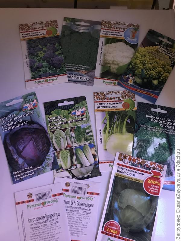 Первый блин комом? Хорошо бы! И комочек чтобы был по вкуснее и хранился подольше =) Ну очень интересно!