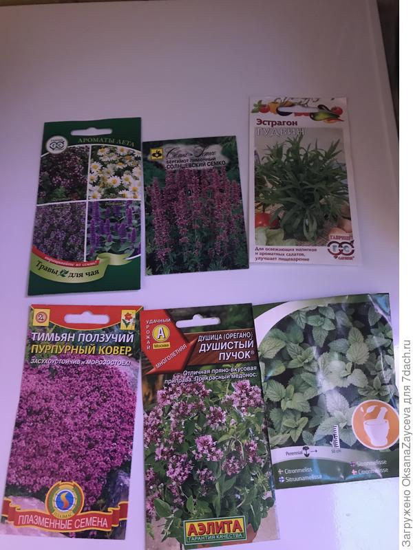 К чаю тоже надо! Еще Лаванда с Исопом в холодильнике хранятся, совсем про них забыла!