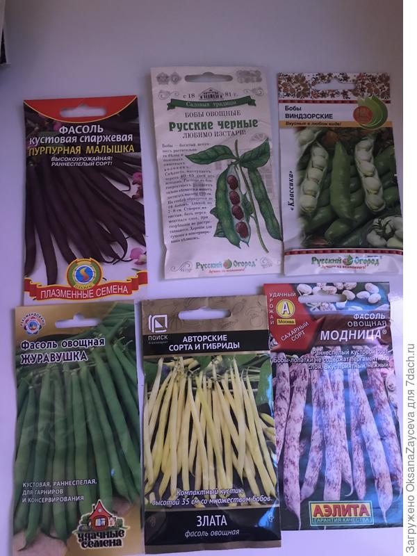 Фасольки мне понравилось выращивать &quot;уплотнительными&quot; посадками. Выбрала все низкорослые кустики, окромя бобов. А бобы с горохом очень удобно сажать вдоль забора, будет не сетка аля рабица, а живая и вкусная изгородь =))