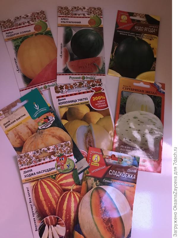 Эт баловство чистой воды. А с другой стороны - не попробуешь разные сорта вырастить, не подбереь самые живучие в нашем климате. Скрещу пальчики на удачу =)