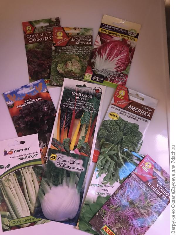 Ох уж эти салаты! Не удержалась, купила хоть что то! И у соседки растет совершенно божественный фенхель! Тоже хочу! Хотя зачем?..