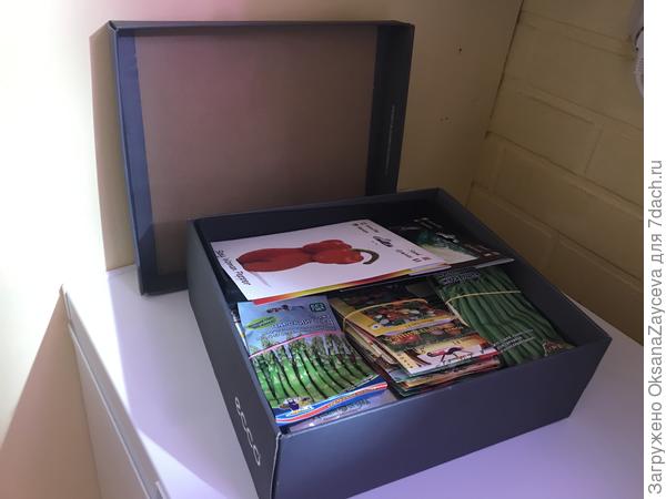 А вот это все нужно как то рассадить на тех 7 грядках огородика и масеньких тепличках