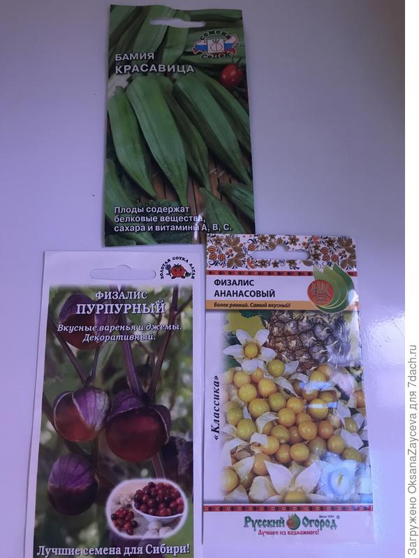 Очень понравился в этом году земляничный физалис, ну как не попробовать все! И где я еще Бамию попробую =)