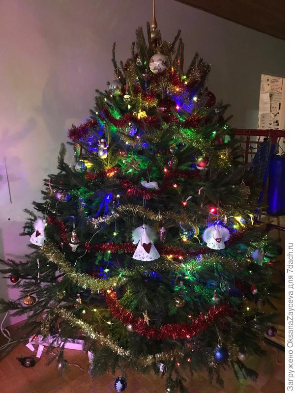 Готова красотка!