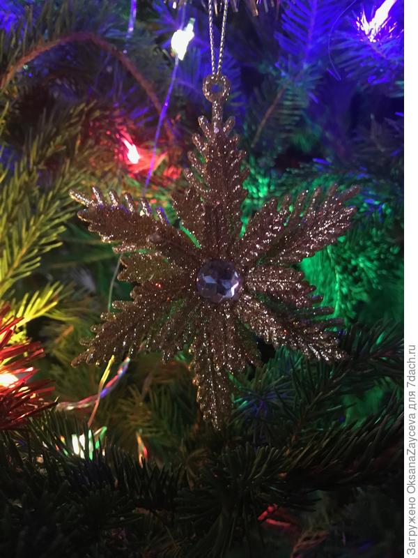 Звезда взошла на Рождество...