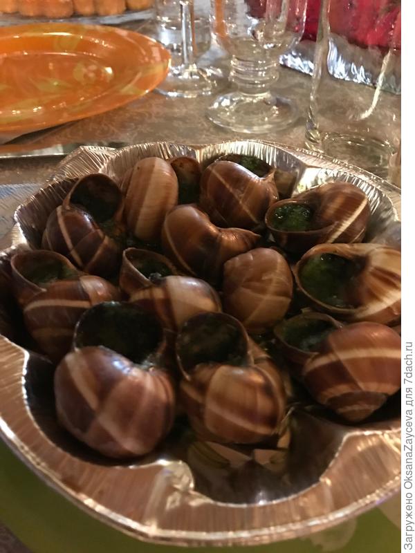 Улитки! Страсть женской половины нашей семьи, от самых стареньких до самых маленьких =)