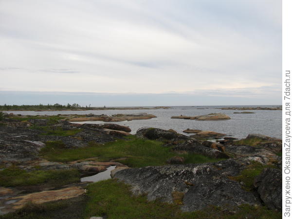 Белое море, суровое и холодное