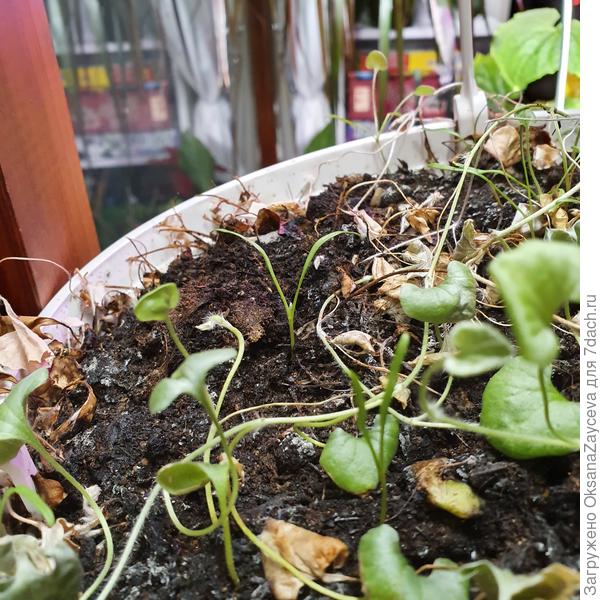 Новые расточки