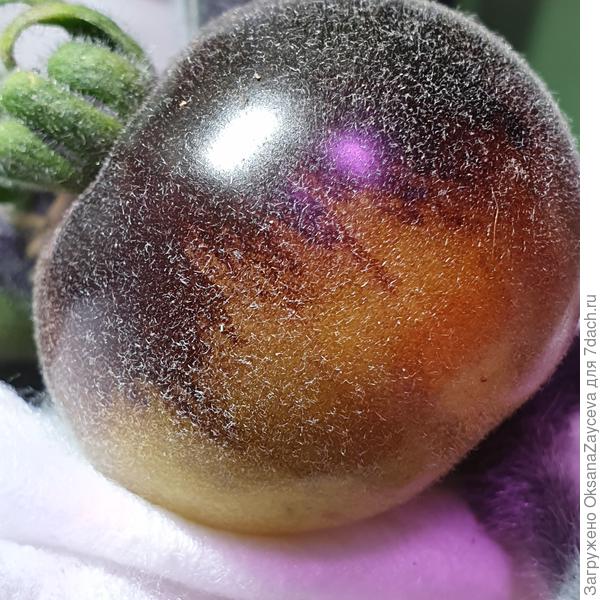 Выгодный ракурс =)