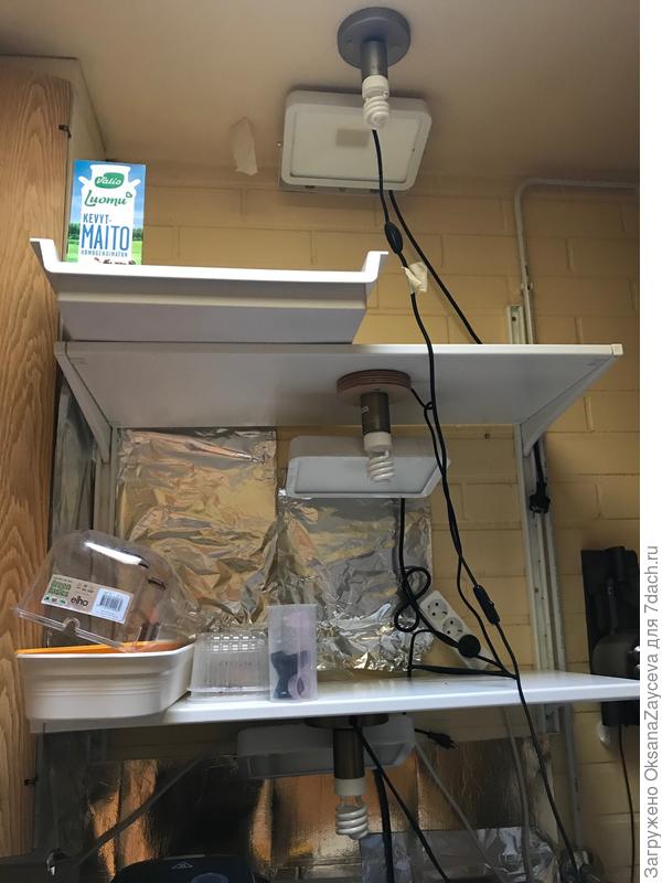 Стеллаж для овощей и рассады