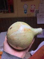 Этот экземпляр Глобо 600 с хвостиком