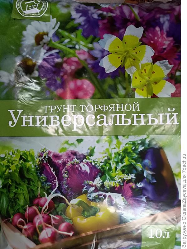 Грунт