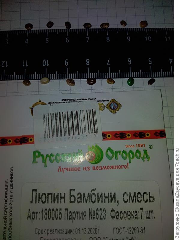 Семена люпина Бамбини