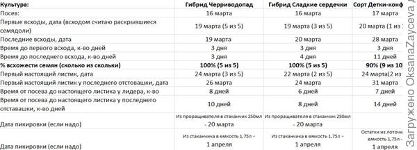 Основные сроки этапа по всем томатам