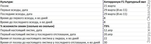 Сводная таблица сроков этапа