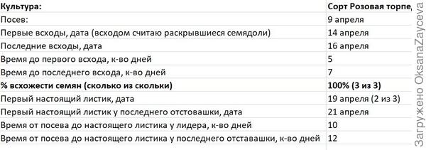Основные сроки этапа