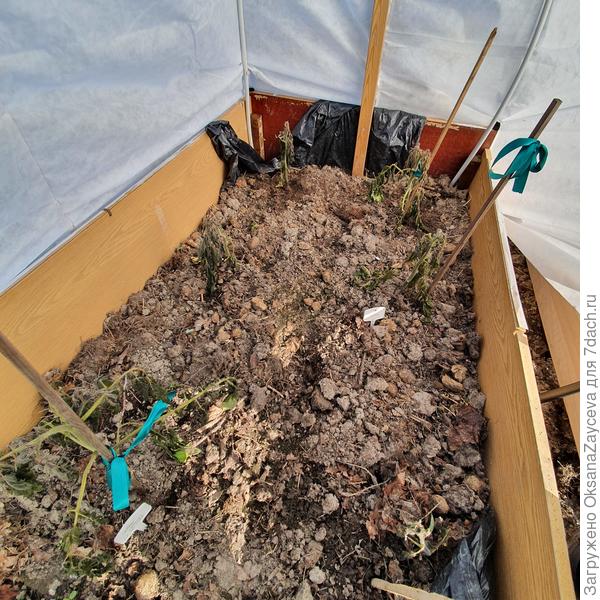 А утром сегодня уже не были