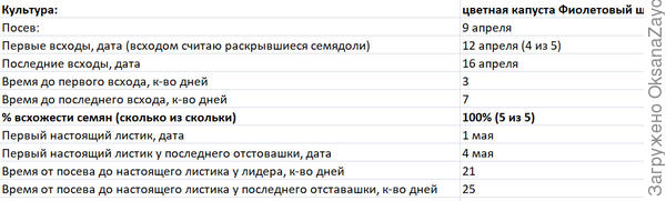 Основные сроки этапа