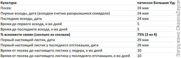 Основные сроки этапа