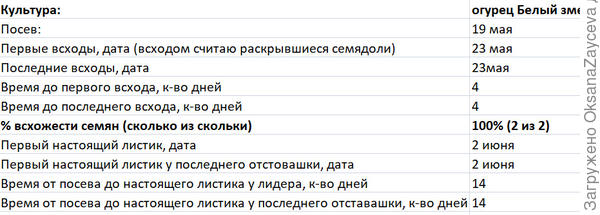 Основные сроки этапа