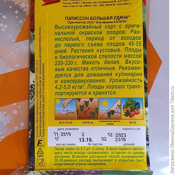 Описание гибрида Большая удача