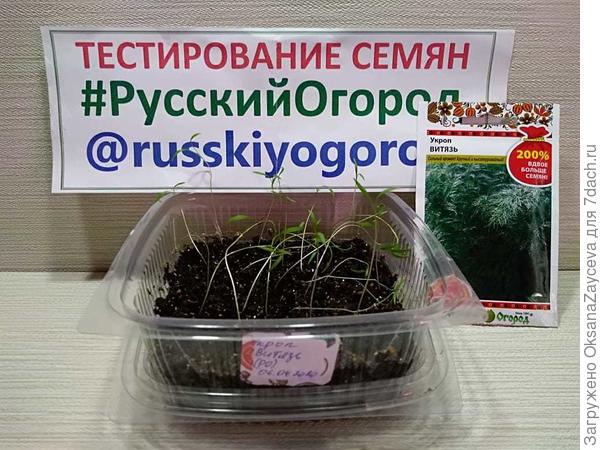 26 апреля, прямо взвод Витязей и пара прапоров =)))