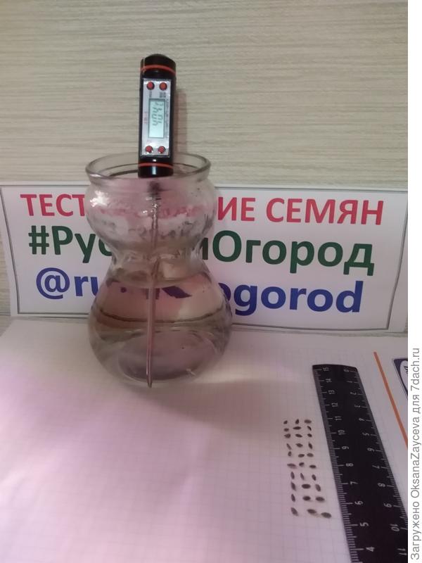 Готовы к погружению!