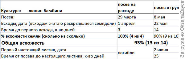 Основные сроки и даты первого этапа